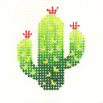 Beginner Kit: Cactus