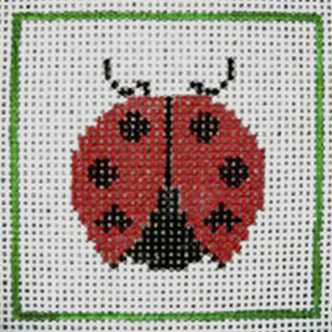 Beginner Kit: Lady Bug