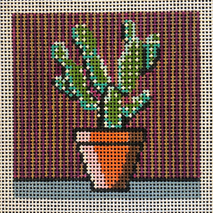 Cactus Square - Family Arts Needlework Shop