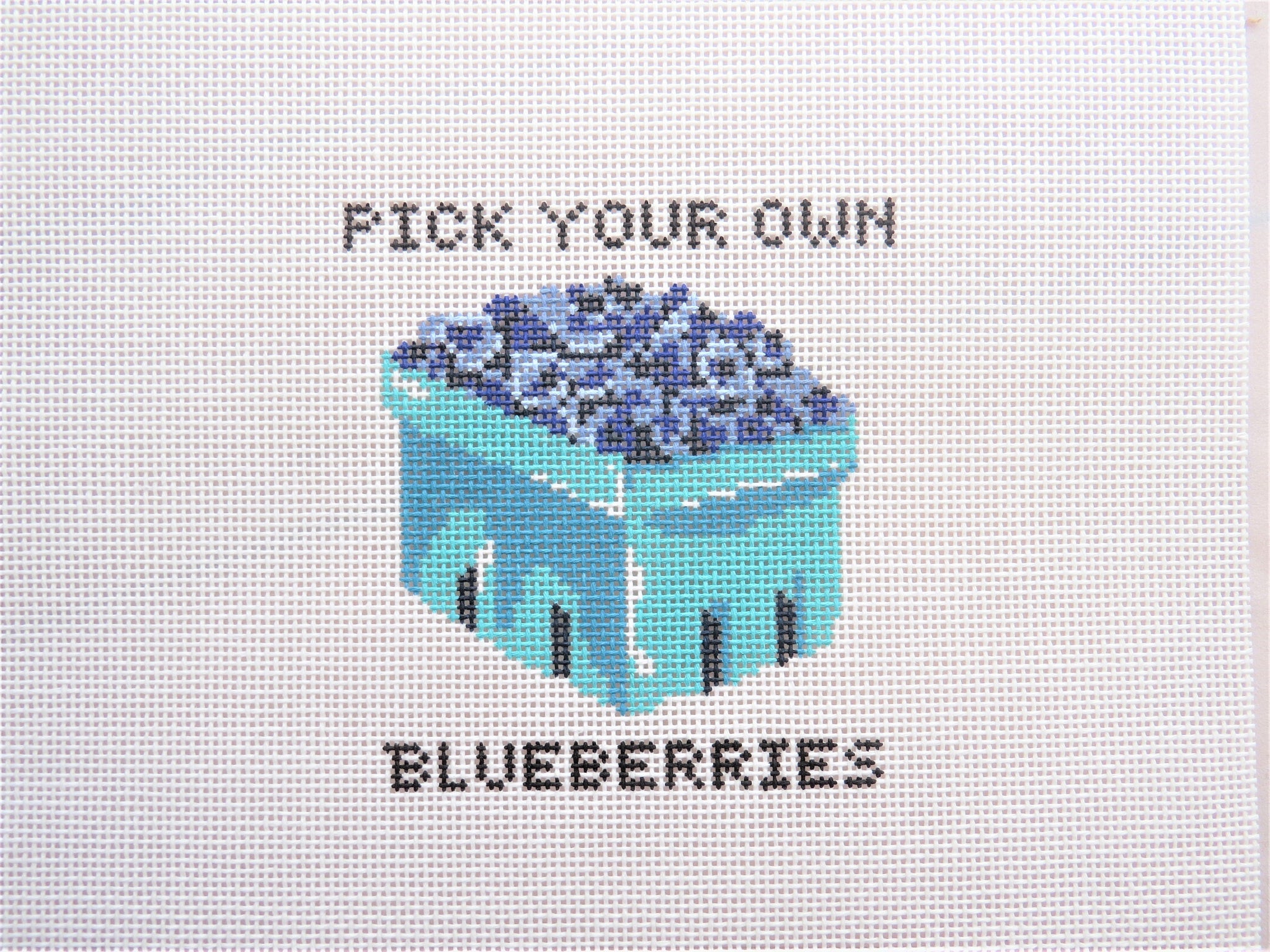 Pick Your Own Blueberries