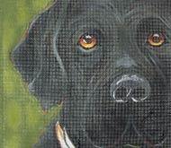 Black Lab - Family Arts Needlework Shop