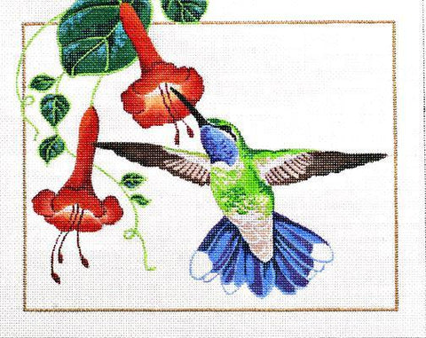 Blue Throated Hummingbird - Family Arts Needlework Shop