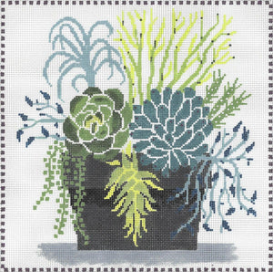 Succulent Pot - Family Arts Needlework Shop