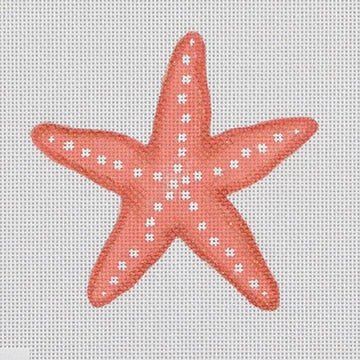 Seaside: Starfish, coral