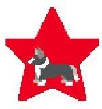 Stars - Black Corgi with Bone - Family Arts Needlework Shop