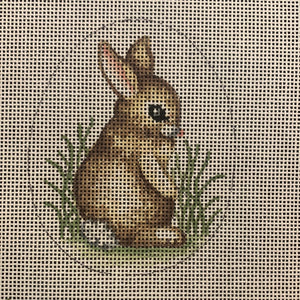 Egg-Brown Rabbit Egg