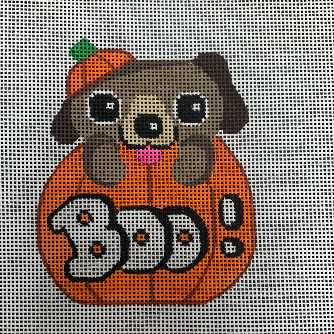 Dog in Pumpkin