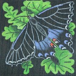 Black and Blue Butterfly - Family Arts Needlework Shop